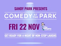 Comedy at the Park